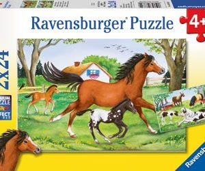 World of Horses Puzzle