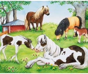World of Horses Puzzle