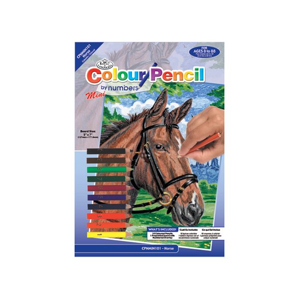 Mini Horse Colour By Pencil