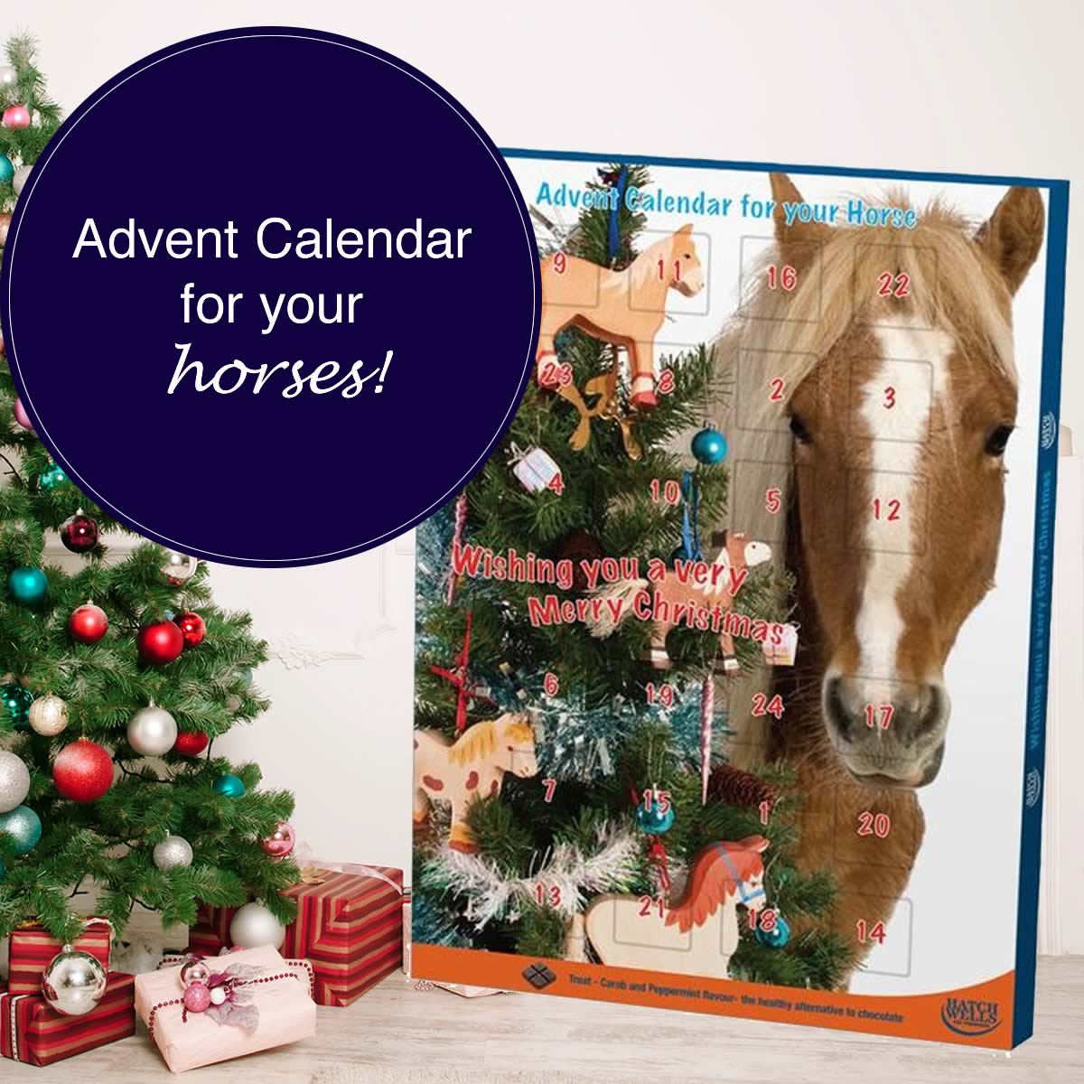 Advent Calendar for Horses Filly and Co