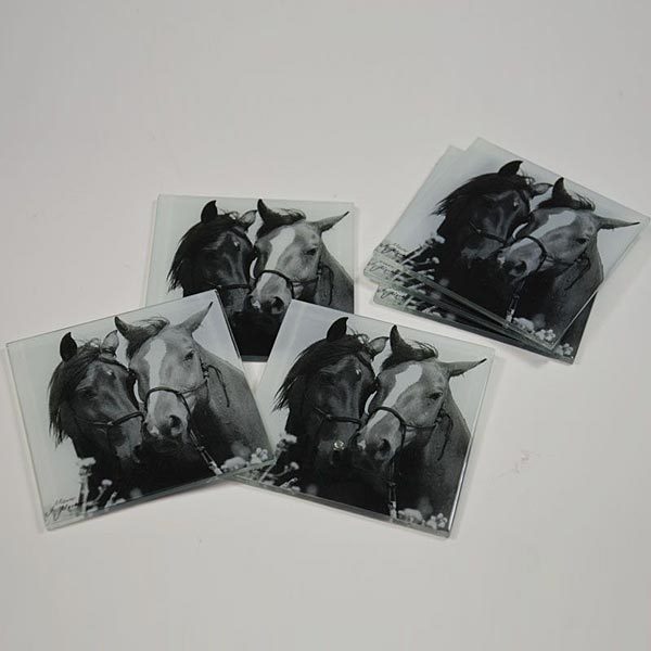 Horses in love glass coasters