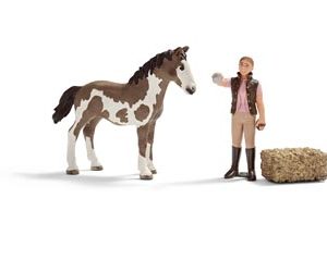 Schleich Foal Cleaning Mini Playset