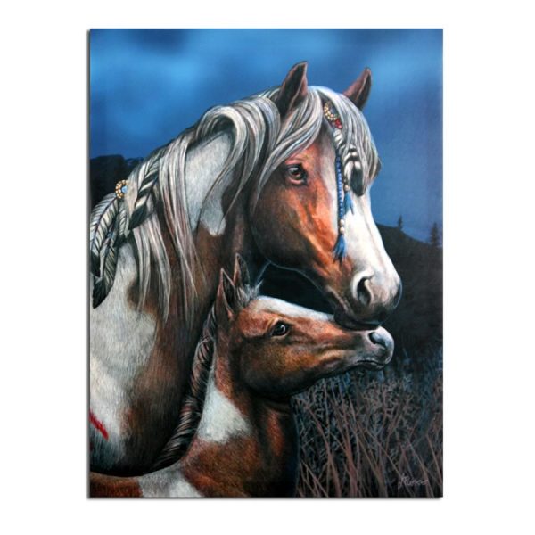 apache Horse canvas