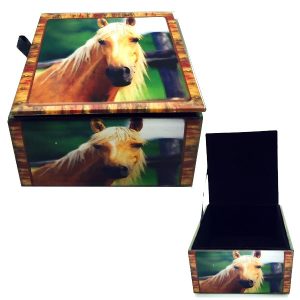 Horse Glass Box