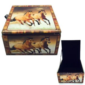 Two horses Glass Box