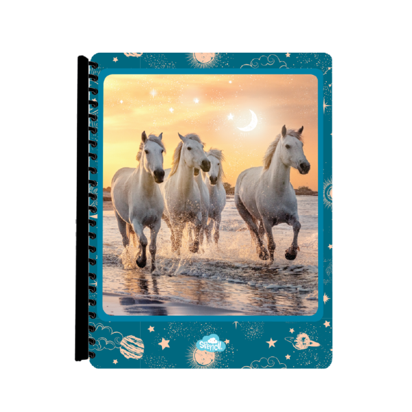 Cosmic_Canter_Display_Book